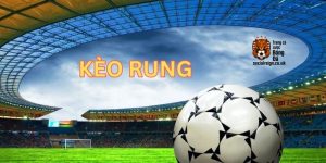 Kèo Rung Là Gì? Cách Bắt Kèo Rung Hiệu Quả 2025 Từ Cao Thủ Cá Cược